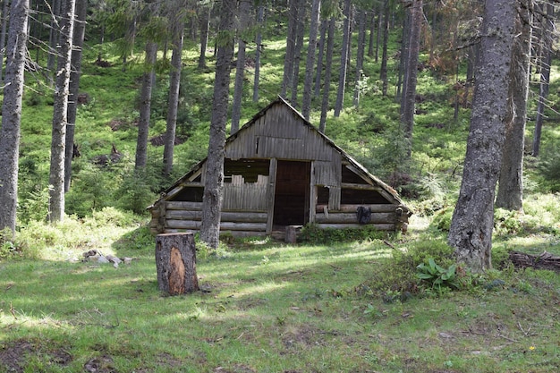 Abandoned house in forest