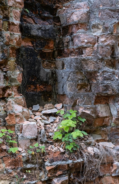 Abandoned Military Tarakaniv Fort other names Dubno Fort New Dubna Fortress a defensive structure an architectural monument of 19th century Tarakaniv Rivne region Ukraine