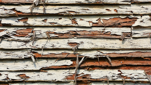 Abandoned old wood texture. - background.