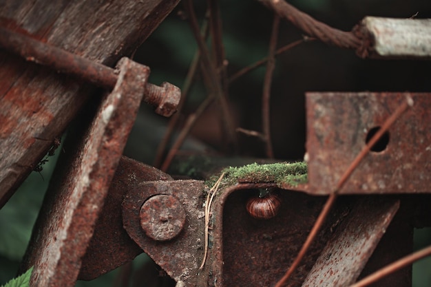 Abandoned pieces of rusty iron in the forest