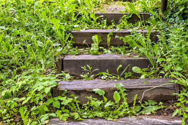 Abandoned wooden stairs