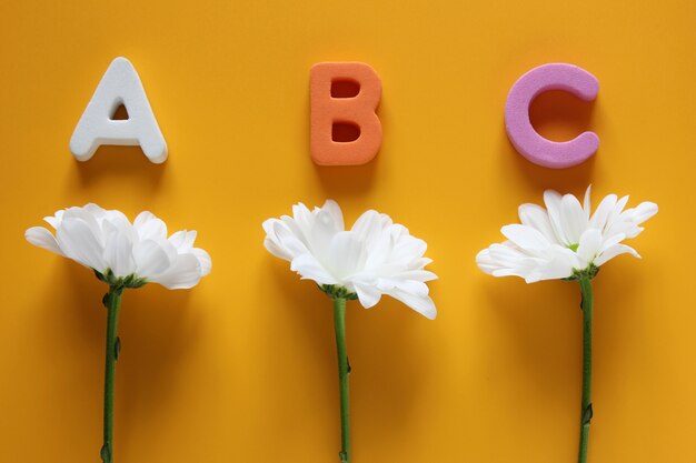 Photo abc - the first letters of the english alphabet and three white chrysanthemums on  yellow