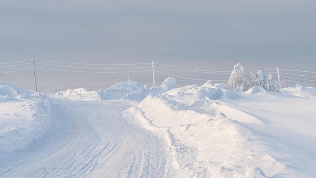 Absolutely white winter landscape in very cold day