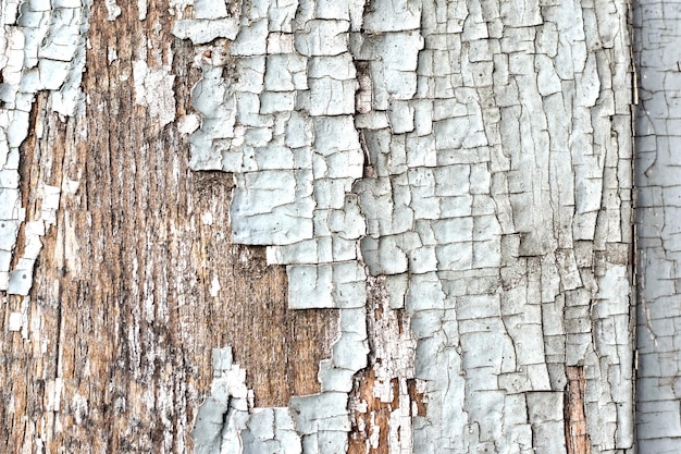 Abstract background of cracked weathered old wood with layers of paint