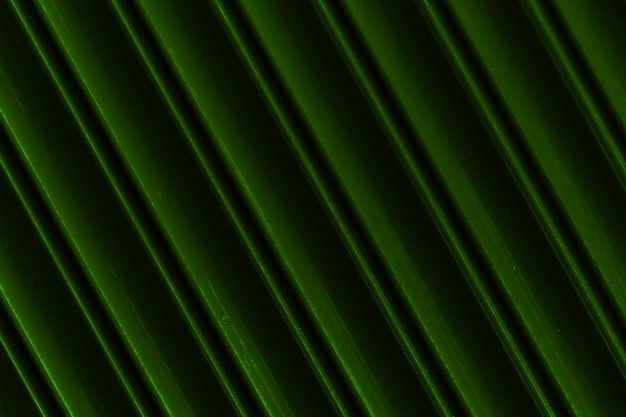 Abstract background design Rough Active Green