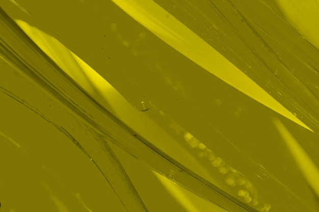 Abstract background design Rough Dark Middle Yellow Color