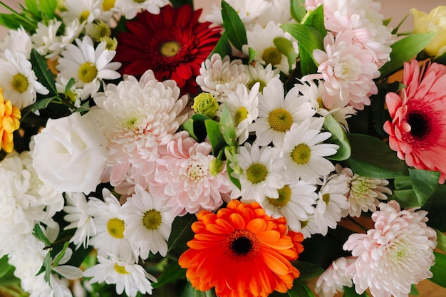 Abstract background of flowers chrysanthemums and gerberas Close up