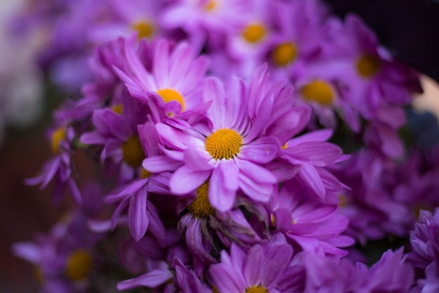 Abstract background flowers full color