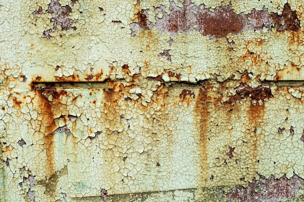 The abstract background is an old rusty surface and remnants of paint.