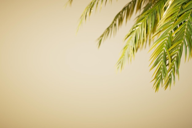 Abstract background of a sandy beach with palm trees copy paste copy space 3D render