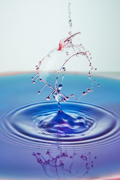 Abstract background of splash of color water, collision of colored drops