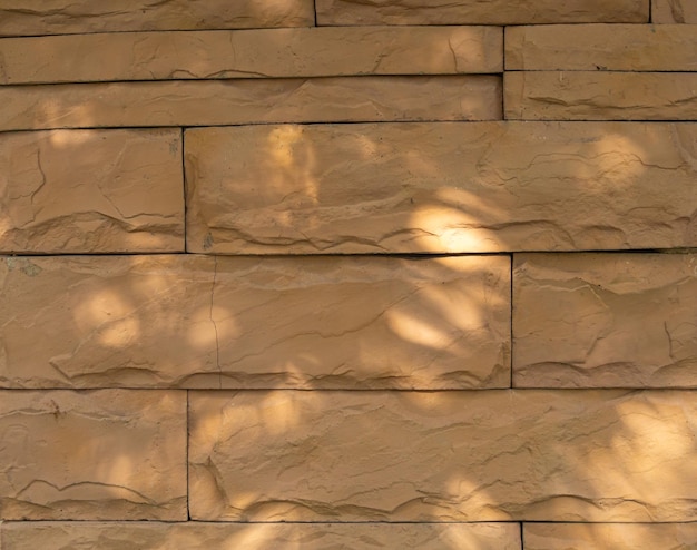 Abstract background and texture, red brick wall and palm leaf shade. Sunlight reflects between the w