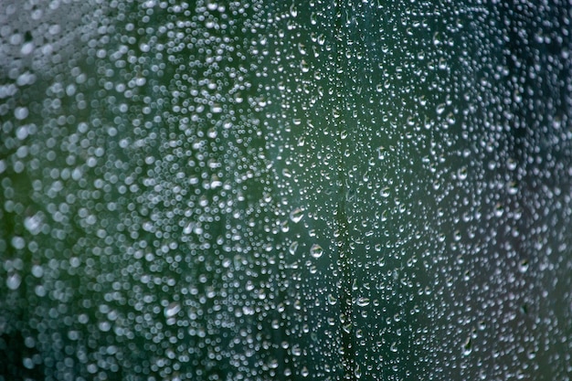 Abstract background of wet window glass with rain water drops Summer green blurred backdrop and selective focus