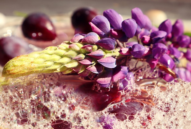 Abstract background with flowers blooming lupine branch closeup among soap bubbles on the background of wet plums space for text