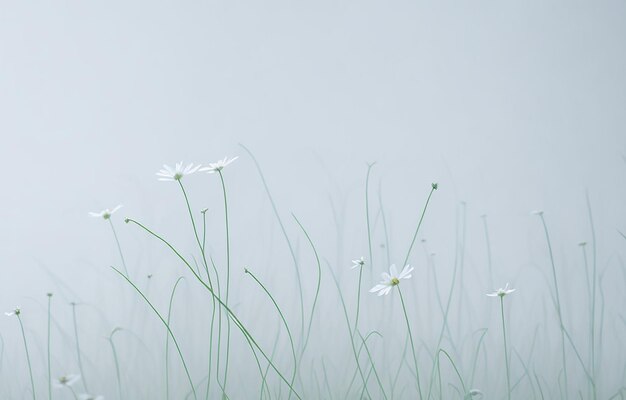 Abstract Background With White And Orange