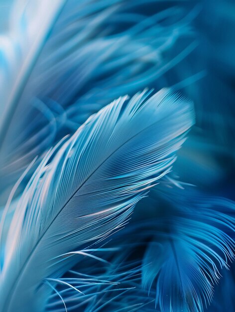 Abstract Blue Feather Close Up Soft Delicate Nature Inspired Texture