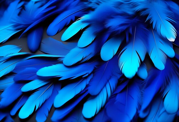 Abstract Blue Feathers on Black Background