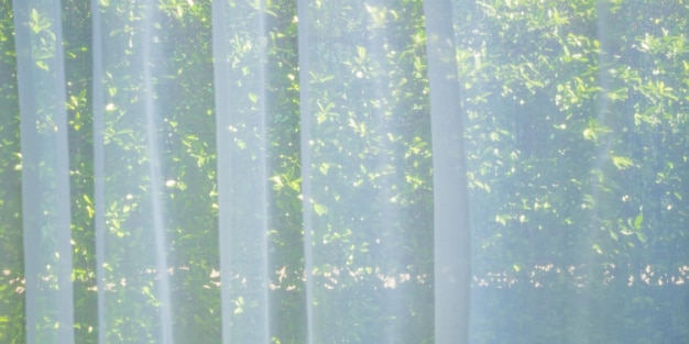 Abstract blur curtain window with green garden background