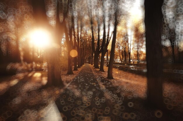 Abstract blurred background of an autumn park / beautiful landscape with highlights and bokeh on a sunny day in a yellow autumn city park