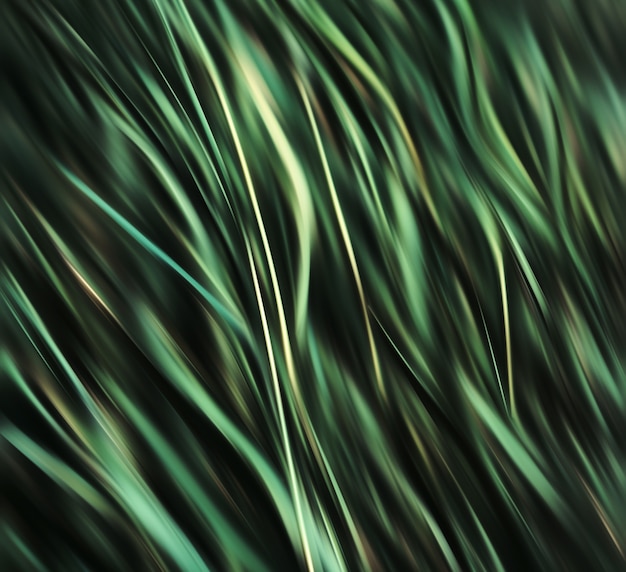 Abstract blurred green grass