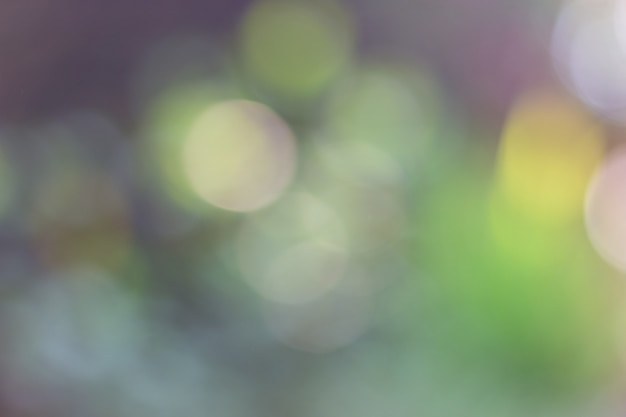 Abstract Blurred green light bokeh background 