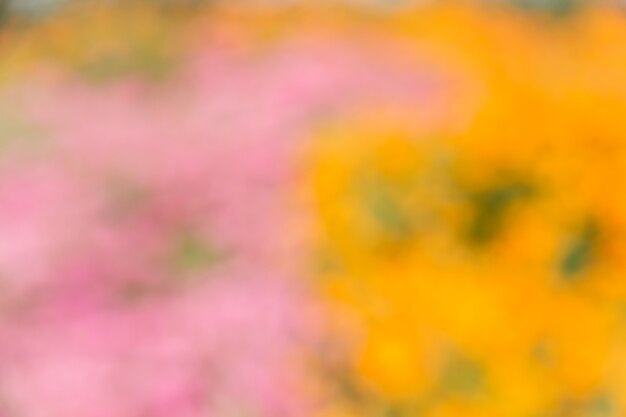 Abstract bokeh and blurred colorful nature background 