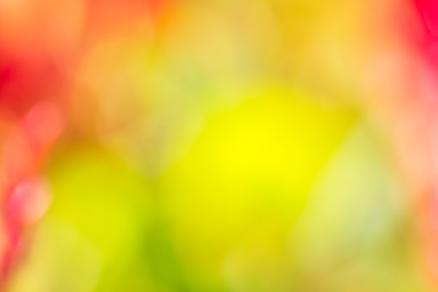 Abstract bokeh and blurred colorful nature background