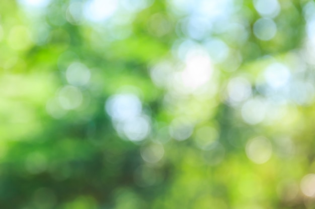 Abstract bokeh and blurred green nature background 