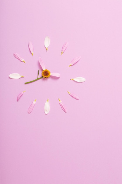 Abstract clock made of flower petals on  pink background