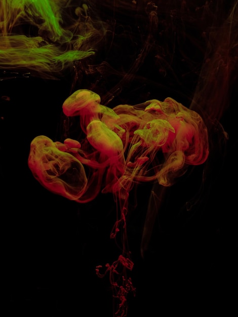 Abstract color paint splash isolated on black background