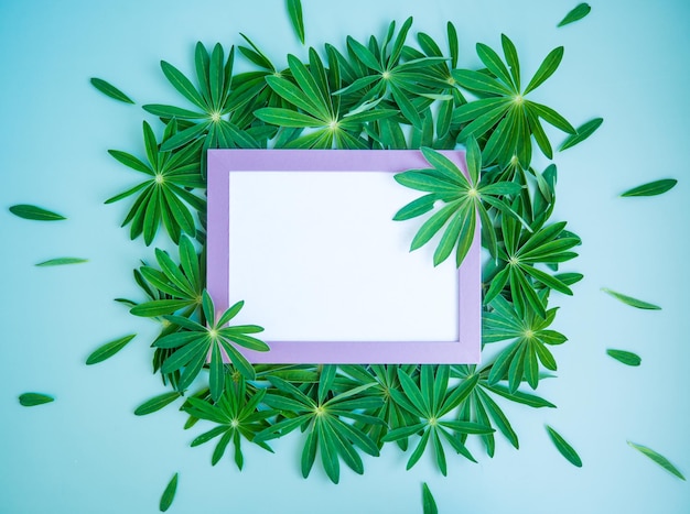 Abstract composition with green leaves and empty pink photo frame