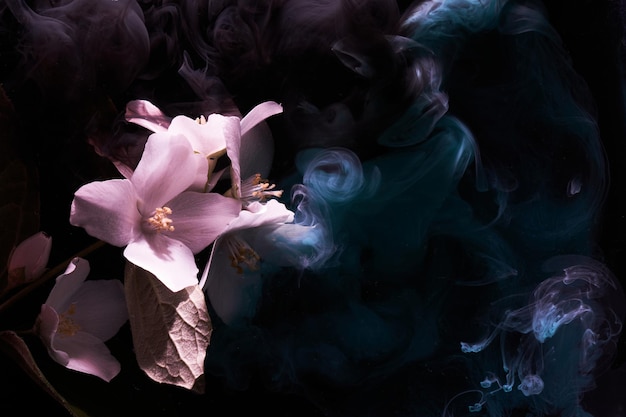 Abstract contrast background with flowers and multicolored paints in water Backdrop for perfume cosmetic products