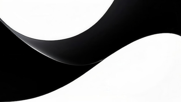 Abstract design featuring smooth black and white curves