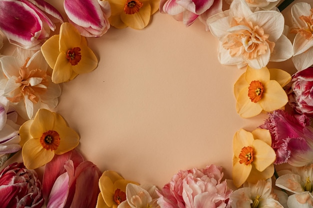 Abstract floral aesthetic background Round floral frame wreath of colourful narcissus and tulip flowers on ginger background with blank copy space mockup Beautiful flowers and petals template