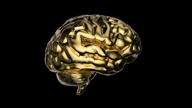 Abstract Golden Human Brain with detailed reflections