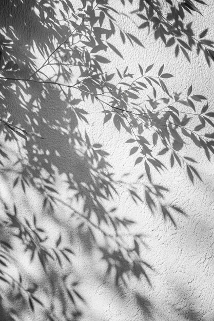 Photo abstract gray shadow background of natural leaves tree branch falling on white wall texture for background and wallpaper black and white nature shadow pattern art on wall