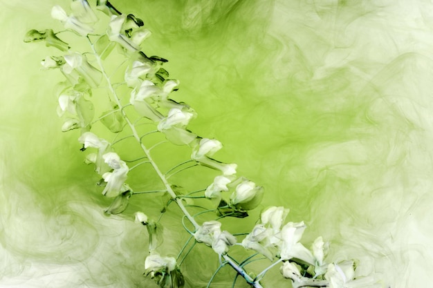 Abstract green background with flowers and paints in water Backdrop for perfume cosmetic products