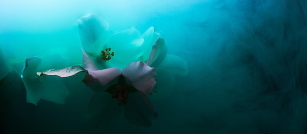 Abstract green background with flowers and paints in water Backdrop for perfume cosmetic products