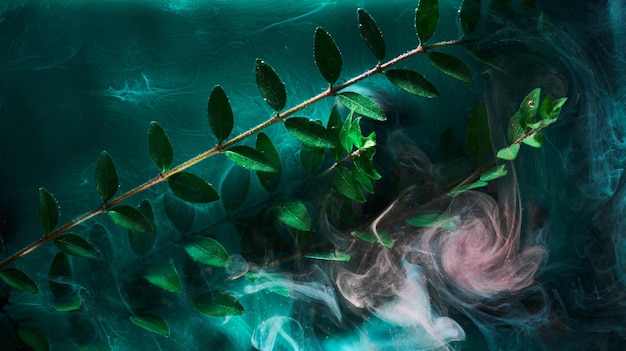 Abstract green background with leaves and paints in water Backdrop for perfume cosmetic products