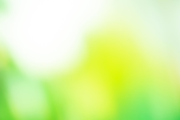 Abstract green blurred gradient background with light Nature greenery verdant backdrop