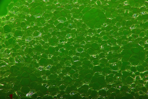 abstract green macro background of a molecule