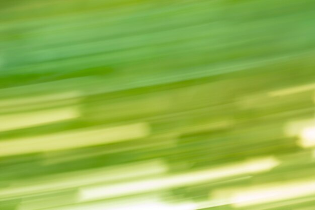 Abstract green motion blur background