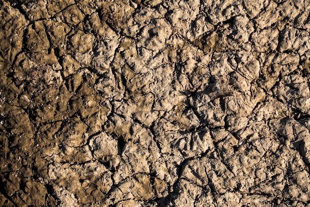 Abstract Grunge Cracked Dirty Dry Soil Photo