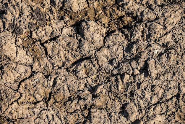 Abstract Grunge Cracked Dirty Dry Soil Photo