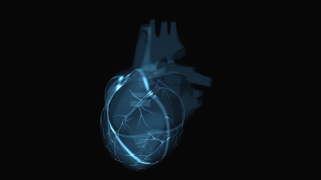 Abstract illustration of a heart in xray