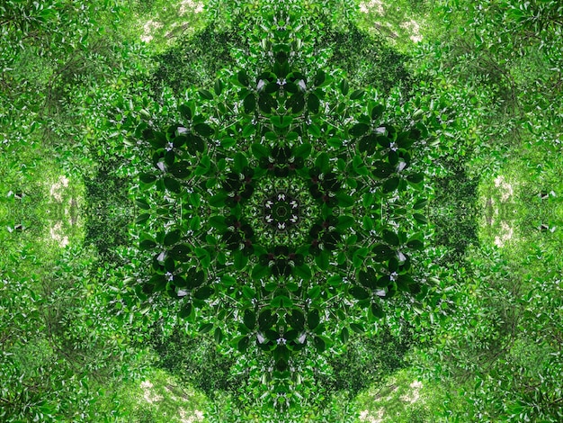 Abstract kaleidoscope background Beautiful multicolor kaleidoscope texture Unique kaleidoscope design with dark green and light green base colors