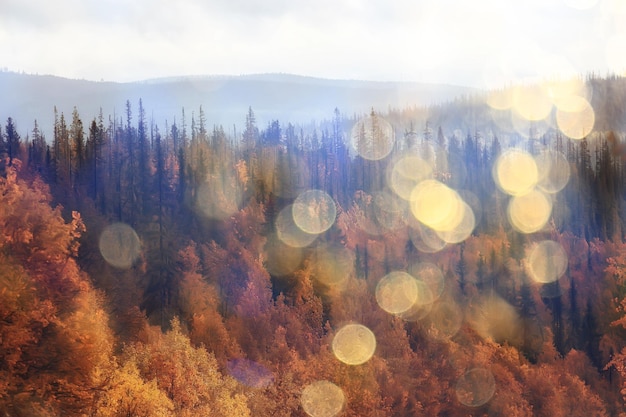 abstract landscape background autumn sun glare defocus bokeh, view sun background