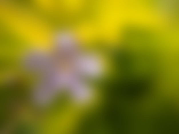 Abstract motion blur background of flowers. blurry out of focus illustration