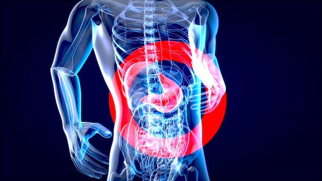 Abstract motion design of the stomach