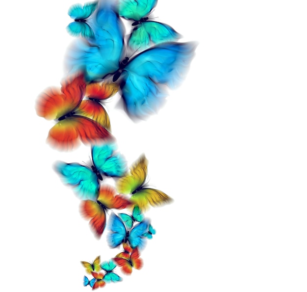 Abstract multicolored butterflies on a white background